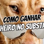 Como Ganhar Dinheiro no Substack