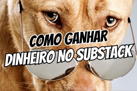 Como Ganhar Dinheiro no Substack