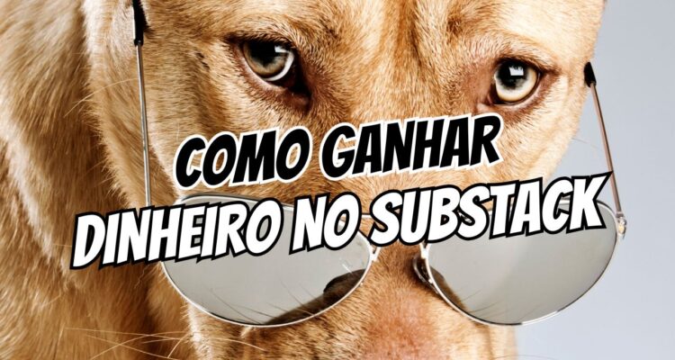 Como Ganhar Dinheiro no Substack
