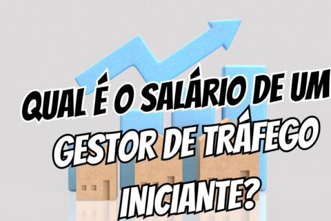 qual é o salário de um gestor de tráfego iniciante